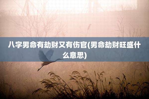 八字男命有劫财又有伤官(男命劫财旺盛什么意思)