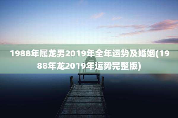 1988年属龙男2019年全年运势及婚姻(1988年龙2019年运势完整版)