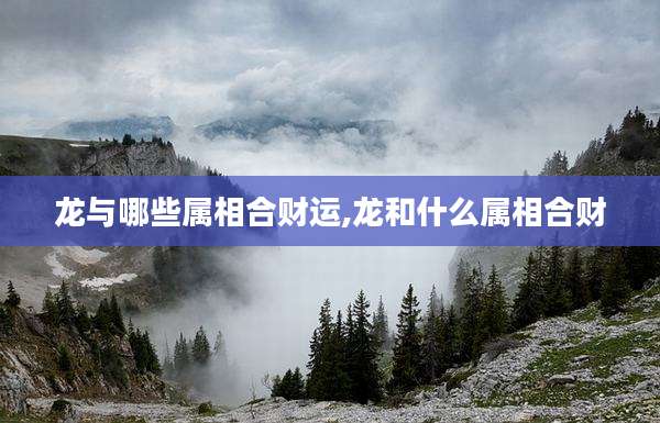 龙与哪些属相合财运,龙和什么属相合财
