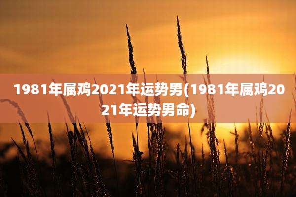1981年属鸡2021年运势男(1981年属鸡2021年运势男命)