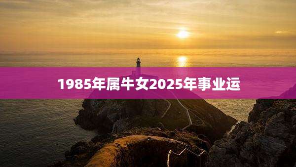 1985年属牛女2025年事业运