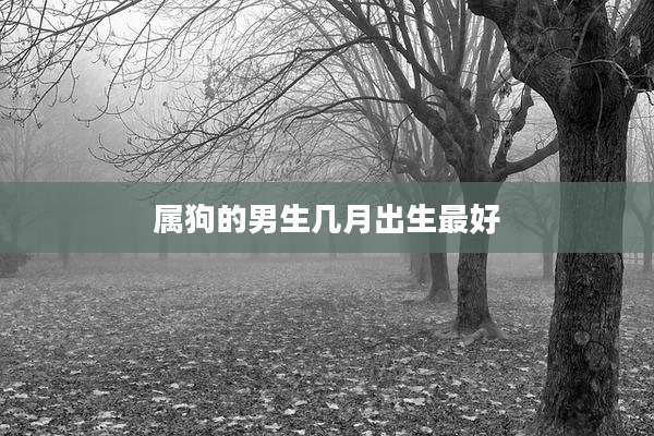 属狗的男生几月出生最好