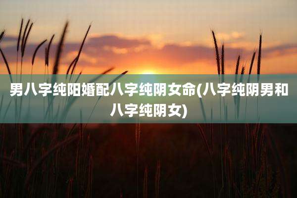 男八字纯阳婚配八字纯阴女命(八字纯阴男和八字纯阴女)