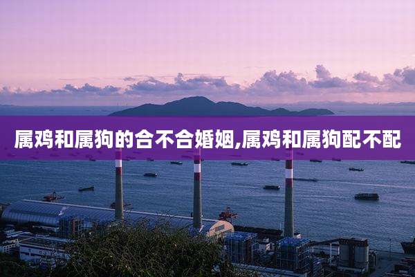 属鸡和属狗的合不合婚姻,属鸡和属狗配不配