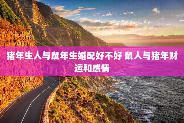 猪年生人与鼠年生婚配好不好 鼠人与猪年财运和感情