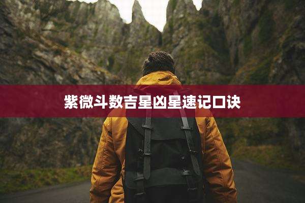 紫微斗数吉星凶星速记口诀