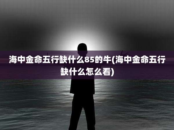 海中金命五行缺什么85的牛(海中金命五行缺什么怎么看)