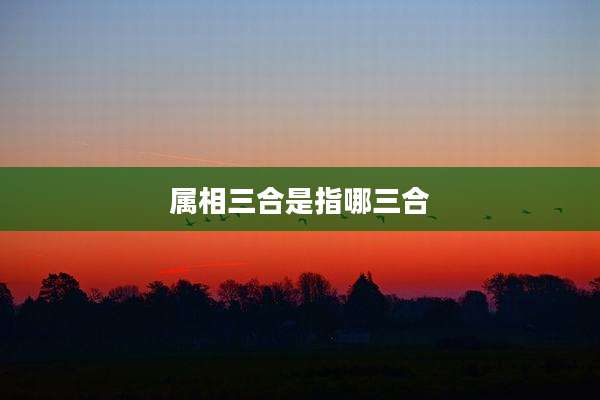 属相三合是指哪三合