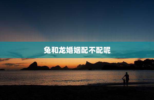 兔和龙婚姻配不配呢