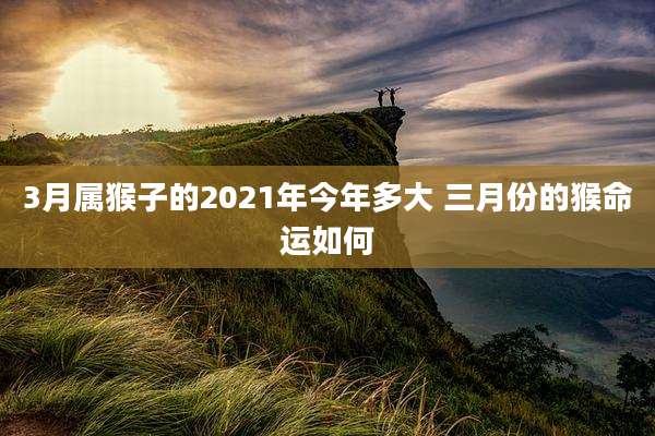 3月属猴子的2021年今年多大 三月份的猴命运如何