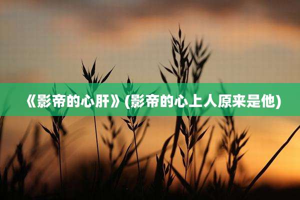 《影帝的心肝》(影帝的心上人原来是他)