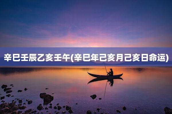 辛巳壬辰乙亥壬午(辛巳年己亥月己亥日命运)