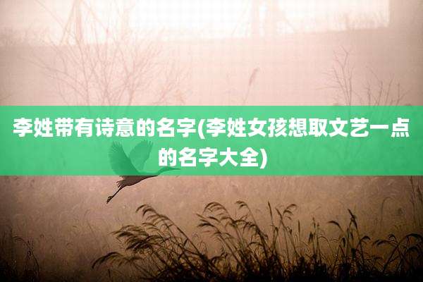 李姓带有诗意的名字(李姓女孩想取文艺一点的名字大全)