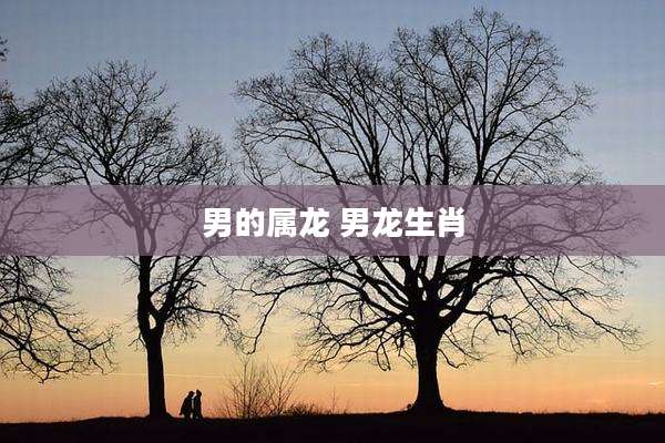 男的属龙 男龙生肖