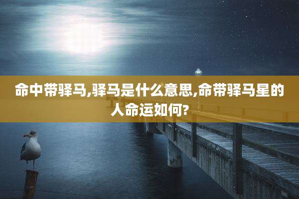 命中带驿马,驿马是什么意思,命带驿马星的人命运如何?