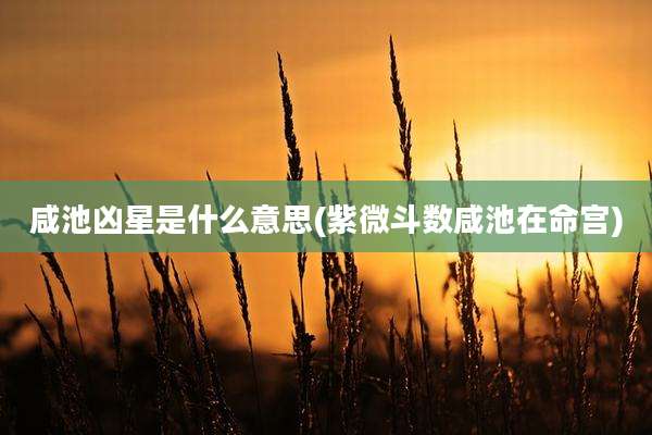 咸池凶星是什么意思(紫微斗数咸池在命宫)