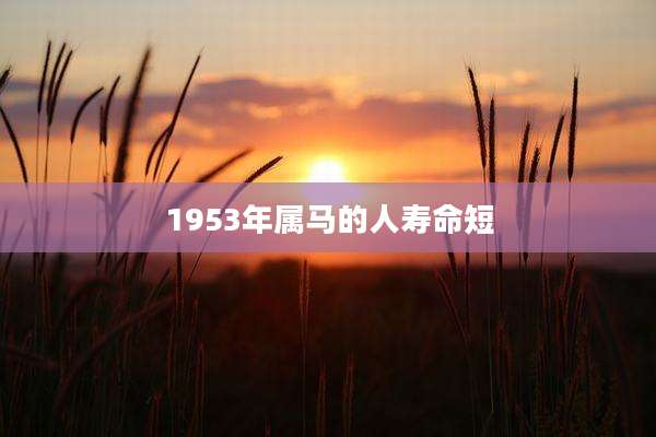 1953年属马的人寿命短