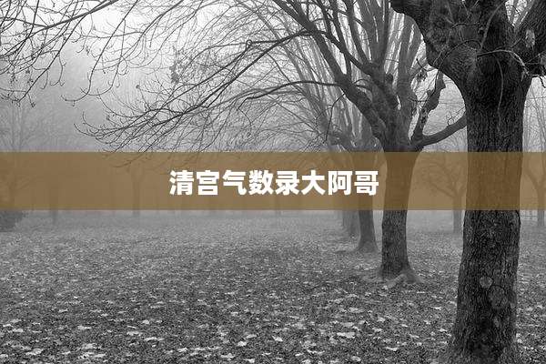 清宫气数录大阿哥