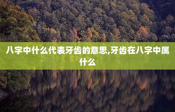 八字中什么代表牙齿的意思,牙齿在八字中属什么