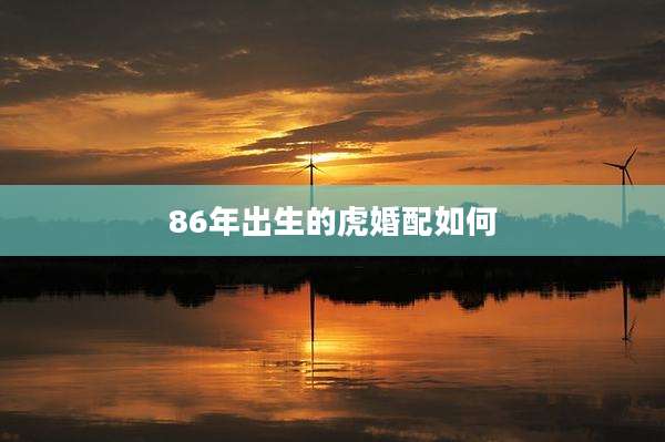 86年出生的虎婚配如何