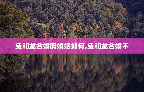 兔和龙合婚吗婚姻如何,兔和龙合婚不