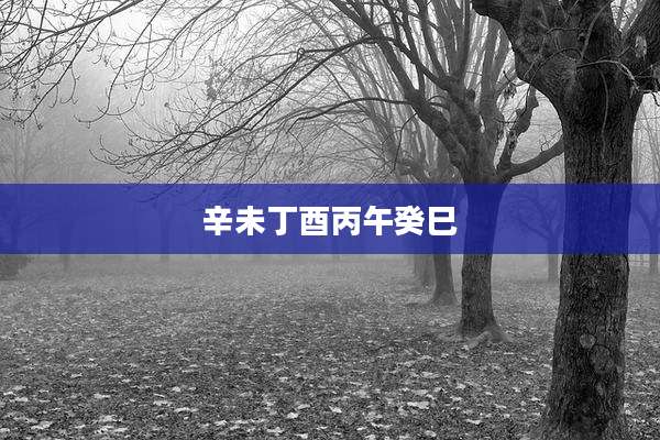 辛未丁酉丙午癸巳