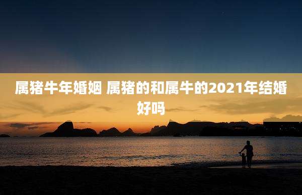 属猪牛年婚姻 属猪的和属牛的2021年结婚好吗