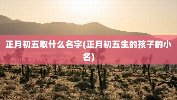 正月初五取什么名字(正月初五生的孩子的小名)