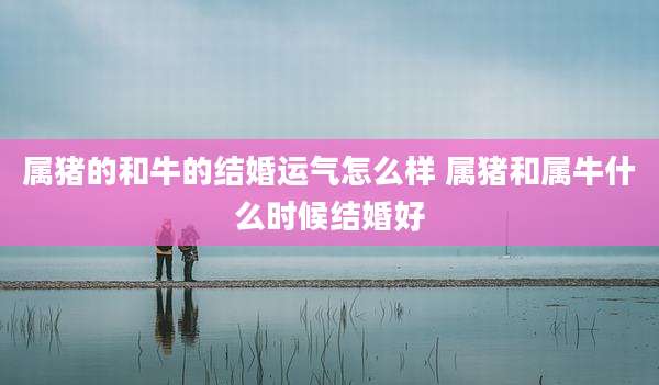 属猪的和牛的结婚运气怎么样 属猪和属牛什么时候结婚好