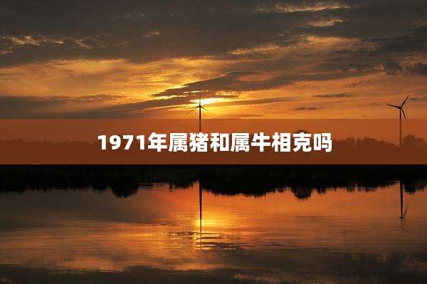 1971年属猪和属牛相克吗