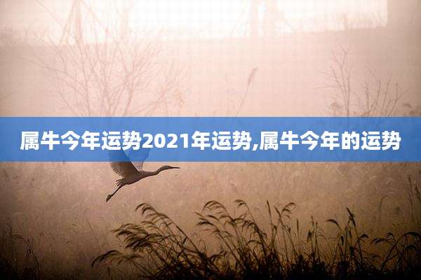 属牛今年运势2021年运势,属牛今年的运势