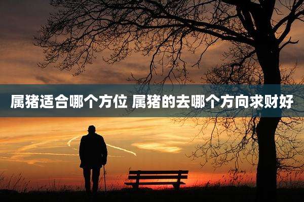 属猪适合哪个方位 属猪的去哪个方向求财好