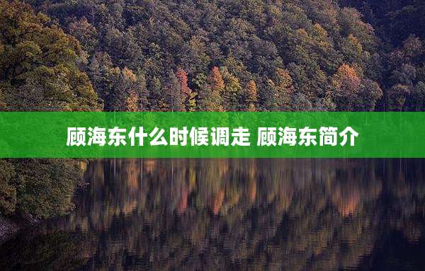 顾海东什么时候调走 顾海东简介
