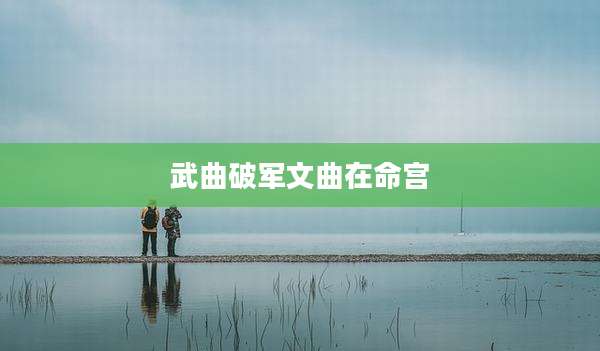 武曲破军文曲在命宫