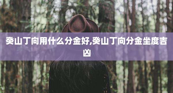 癸山丁向用什么分金好,癸山丁向分金坐度吉凶