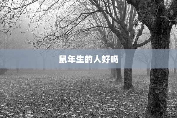 鼠年生的人好吗