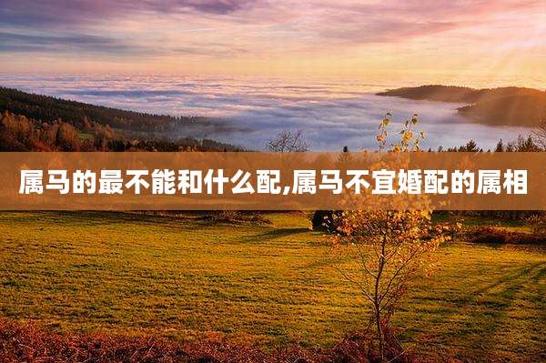 属马的最不能和什么配,属马不宜婚配的属相