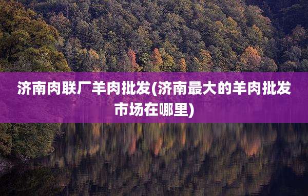 济南肉联厂羊肉批发(济南最大的羊肉批发市场在哪里)