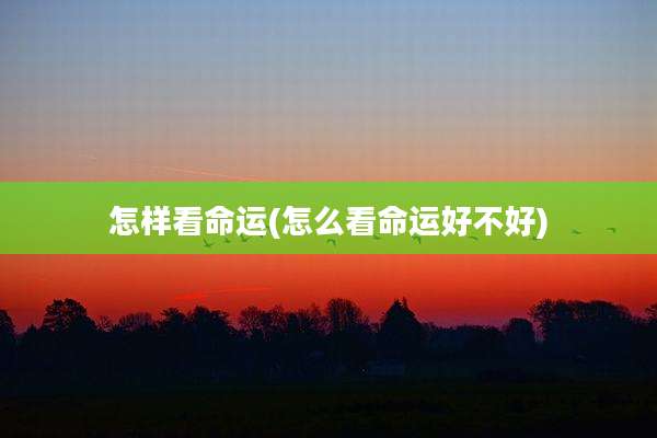 怎样看命运(怎么看命运好不好)