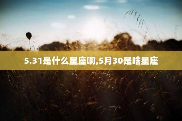 5.31是什么星座啊,5月30是啥星座