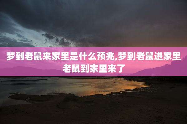 梦到老鼠来家里是什么预兆,梦到老鼠进家里老鼠到家里来了