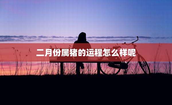二月份属猪的运程怎么样呢