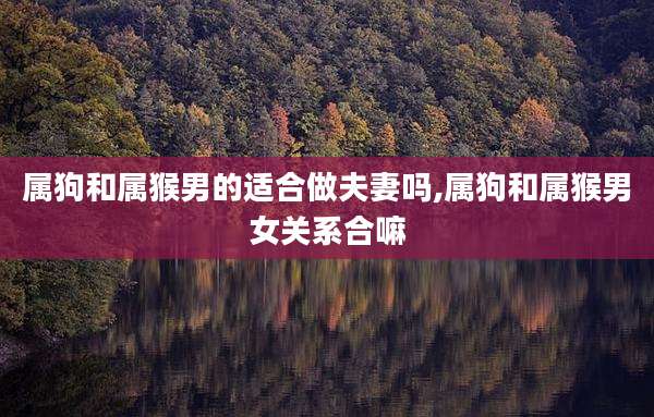 属狗和属猴男的适合做夫妻吗,属狗和属猴男女关系合嘛
