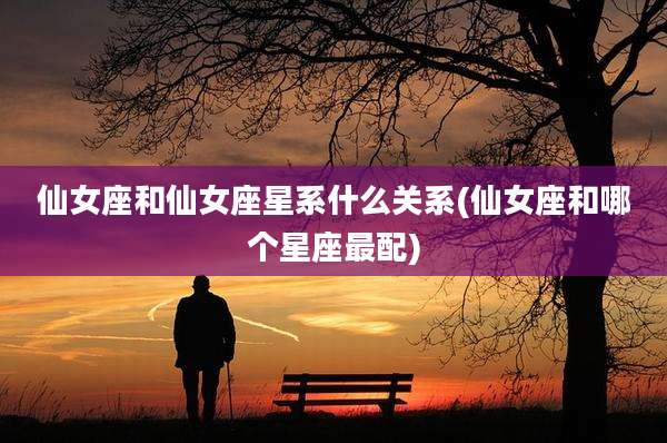 仙女座和仙女座星系什么关系(仙女座和哪个星座最配)