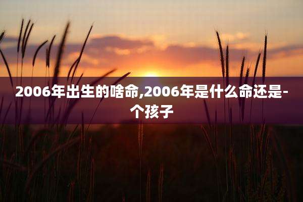 2006年出生的啥命,2006年是什么命还是-个孩子