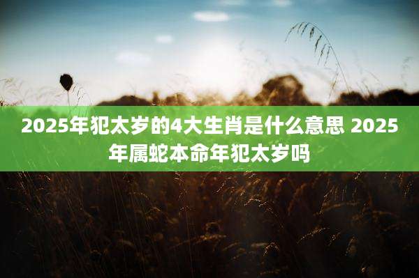 2025年犯太岁的4大生肖是什么意思 2025年属蛇本命年犯太岁吗