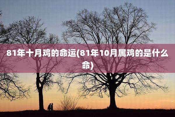 81年十月鸡的命运(81年10月属鸡的是什么命)