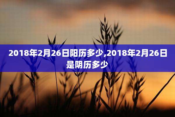 2018年2月26日阳历多少,2018年2月26日是阴历多少