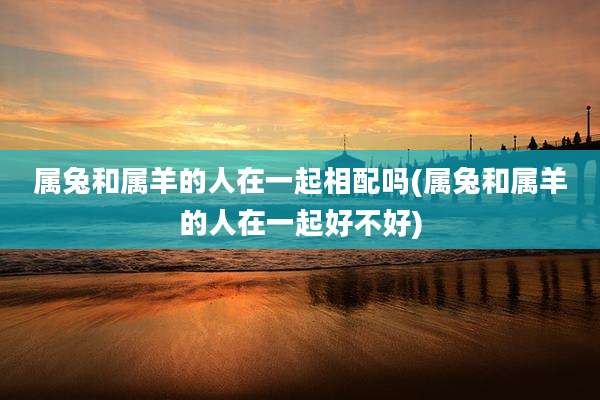 属兔和属羊的人在一起相配吗(属兔和属羊的人在一起好不好)