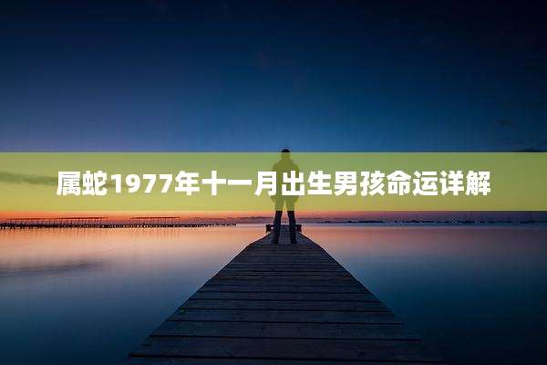 属蛇1977年十一月出生男孩命运详解